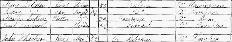 martha 1881 census