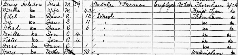 martha 1901 census