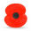 poppy pic